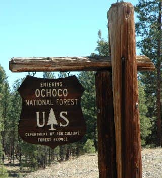 Camper submitted image from Wildcat Campground - 4