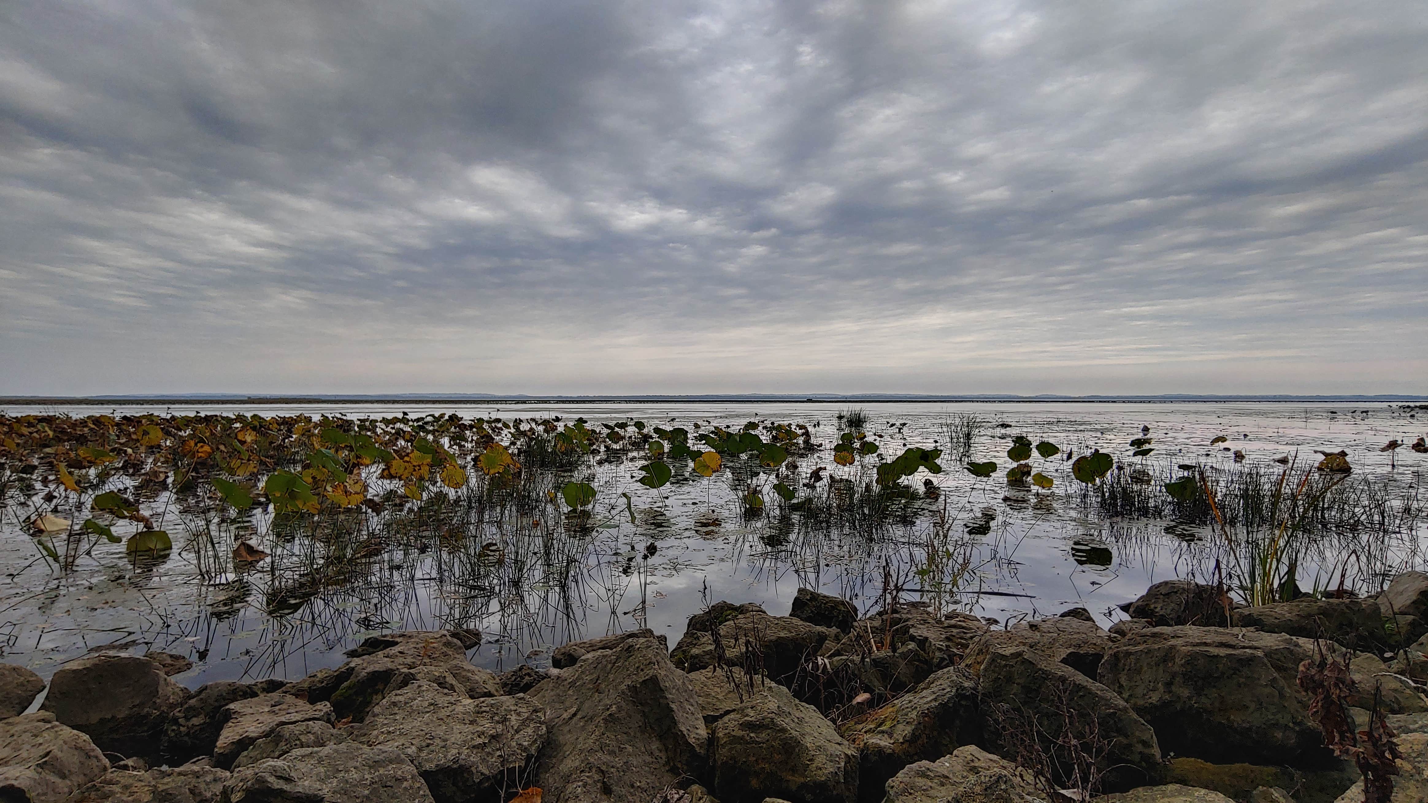 Camper submitted image from Bulger's Hollow Recreation Area — Mississippi River Pools 11 22 - 3