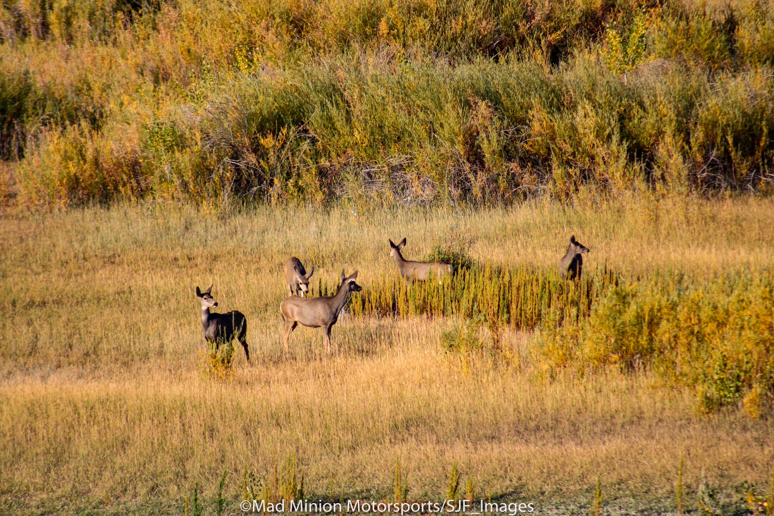 Iron Creek Crawford State Park Camping The Dyrt
