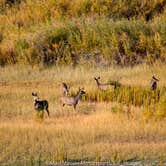 Review photo of Iron Creek - Crawford State Park by John F., September 27, 2020