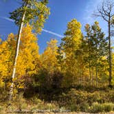 Review photo of Iron Creek - Crawford State Park by John F., September 27, 2020