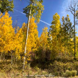 Iron Creek Campground — Crawford State Park