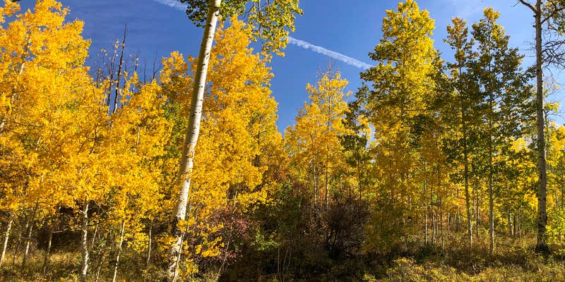 Camper submitted image from Iron Creek Campground — Crawford State Park