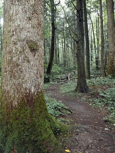 Camper-submitted photo at Wildcat Campground near Jacksonville, OR