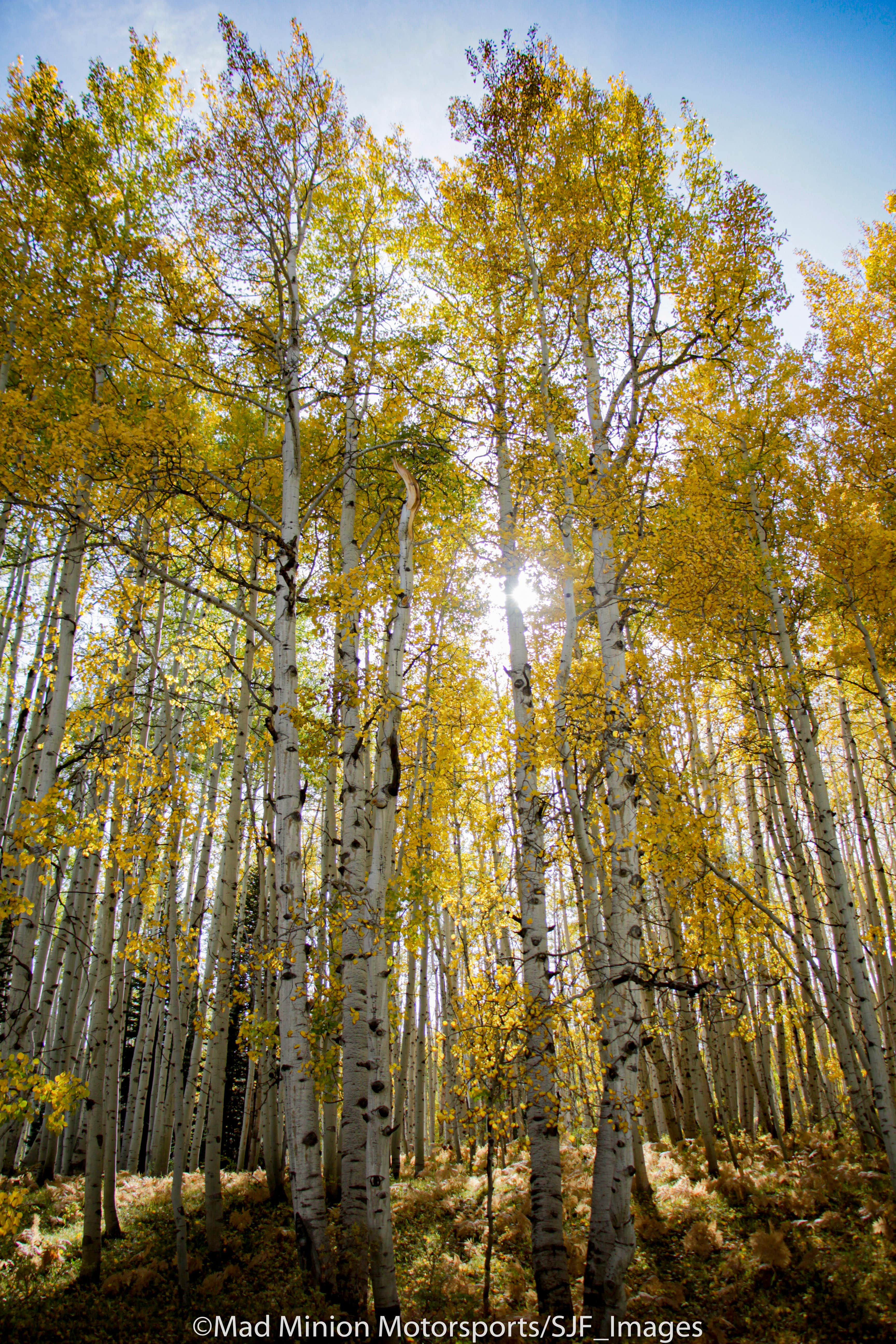 Camper-submitted photo at Iron Creek Campground — Crawford State Park near Paonia, CO