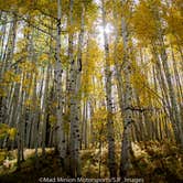 Review photo of Iron Creek - Crawford State Park by John F., September 27, 2020