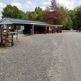 Review photo of Country Acres Campground by Heather C., September 27, 2020