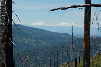 Camper-submitted photo at Wildcat Campground near Jacksonville, OR