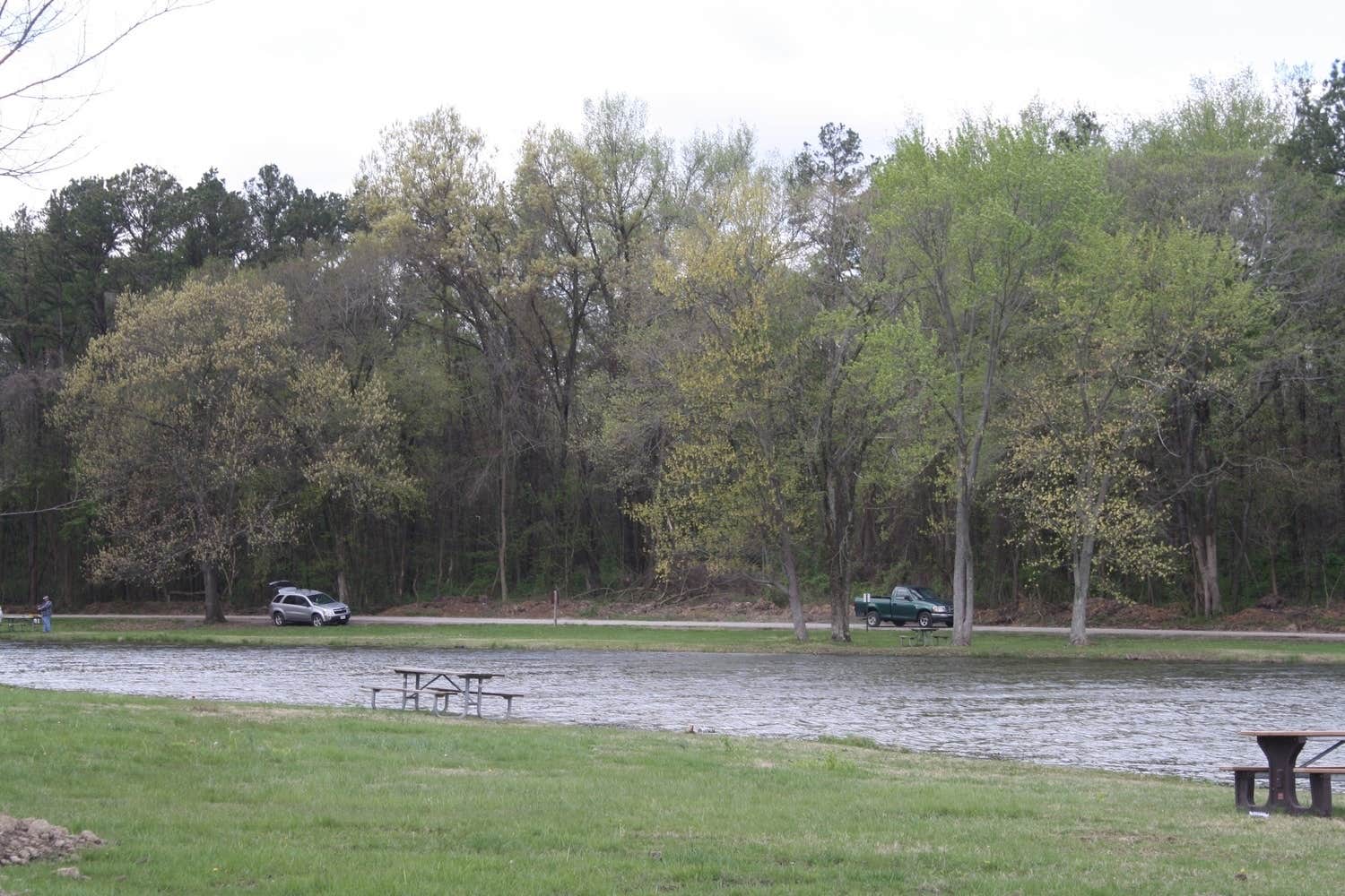 Camper submitted image from Crab Orchard Lake Campground - 5