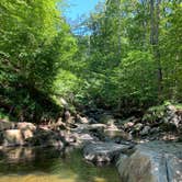 Review photo of Patapsco Valley State Park-Hilton Area by Alexandra T., September 24, 2020