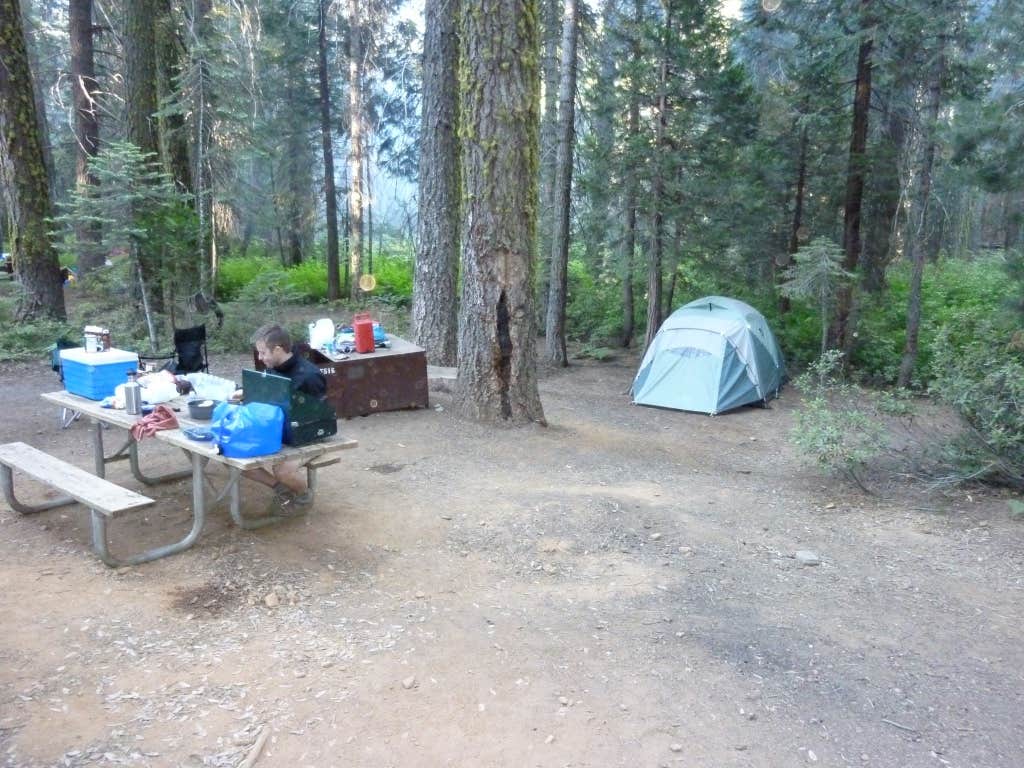 Camper submitted image from Crane Flat Campground — Yosemite National Park - 5