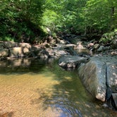 Review photo of Patapsco Valley State Park-Hilton Area by Alexandra T., September 24, 2020