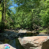Review photo of Patapsco Valley State Park-Hilton Area by Alexandra T., September 24, 2020