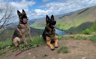 Trey C.'s photo of camping with pets at Lower Campground — Kettle Creek State Park near Snow Shoe, PA