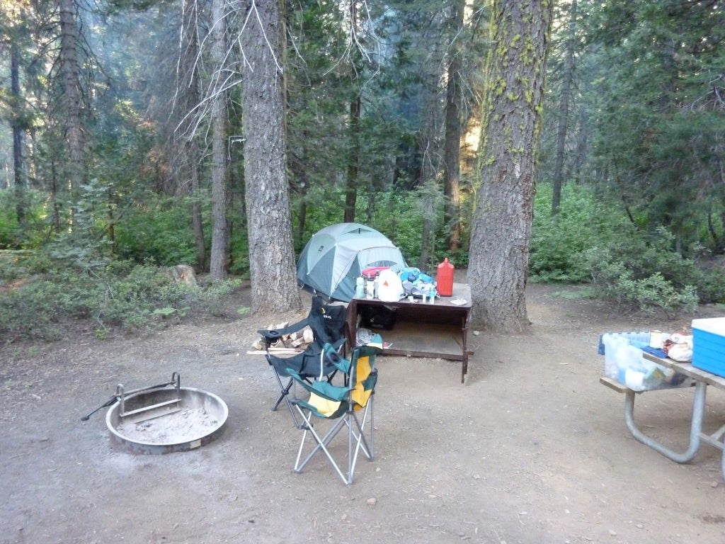 Camper submitted image from Crane Flat Campground — Yosemite National Park - 3
