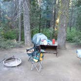 Review photo of Crane Flat Campground — Yosemite National Park by Michael I., May 18, 2018