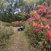 Review photo of Frontenac State Park Campground by John L., September 27, 2020