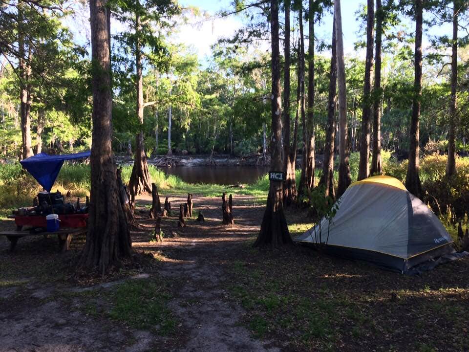 Jim B.'s photo at Fisheating Creek Campground near Lake Placid, FL