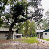 Review photo of Camp Chowenwaw Park - Treehouse Point by Jenn B., September 27, 2020