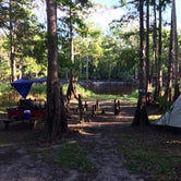 Review photo of Fisheating Creek Campground by Jim B., September 27, 2020