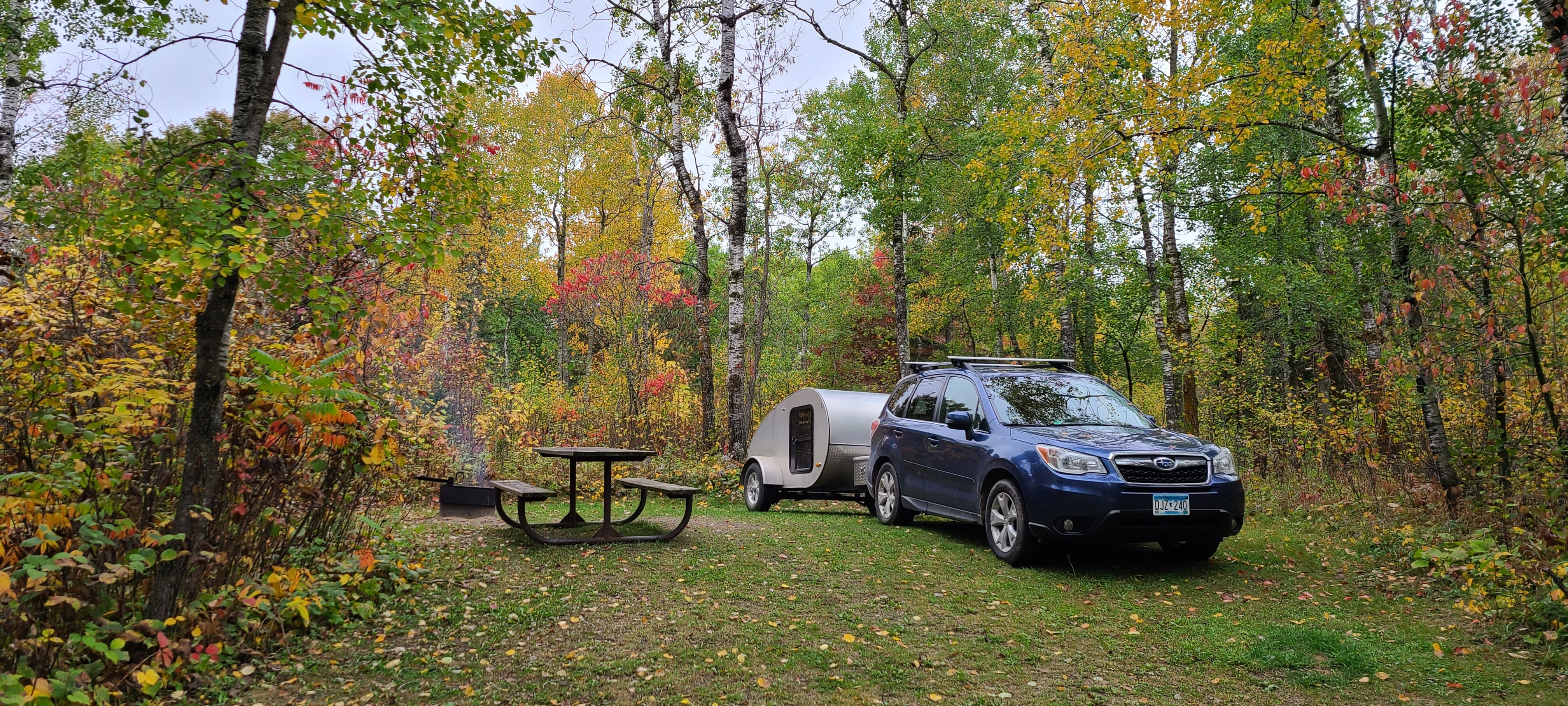 Plenty of space for tents, small trailers, and even small rvs. Tucked back in the trees!