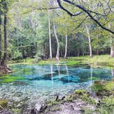 Review photo of Gilchrist Blue Springs State Park Campground by Jenn B., September 27, 2020