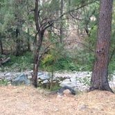 Review photo of Reynolds Creek Dispersed  by Sabrina S., September 27, 2020