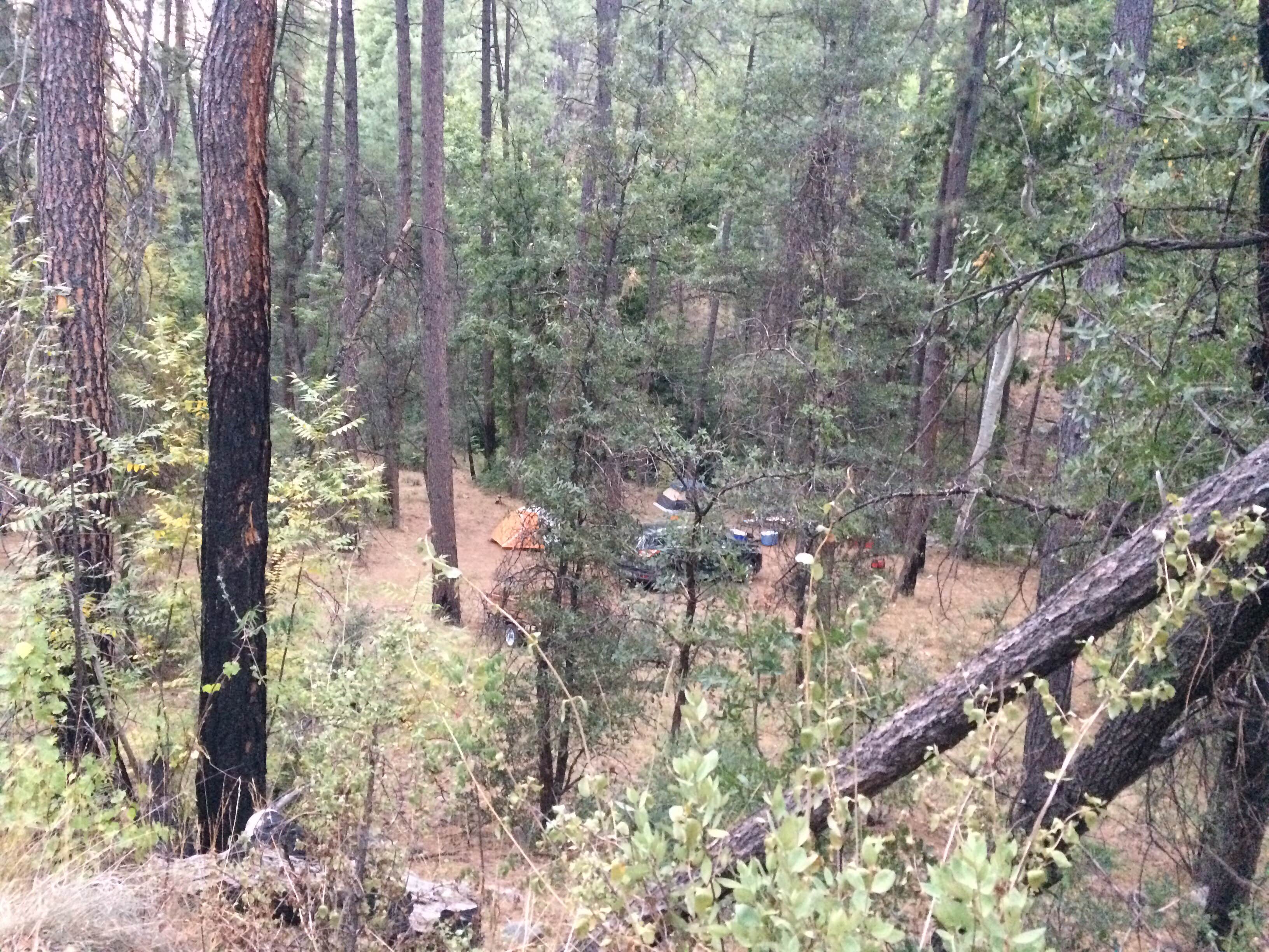 Camper submitted image from Reynolds Creek Dispersed - 4