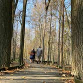 Review photo of Maumee Bay State Park Campground by Andrea F., September 27, 2020