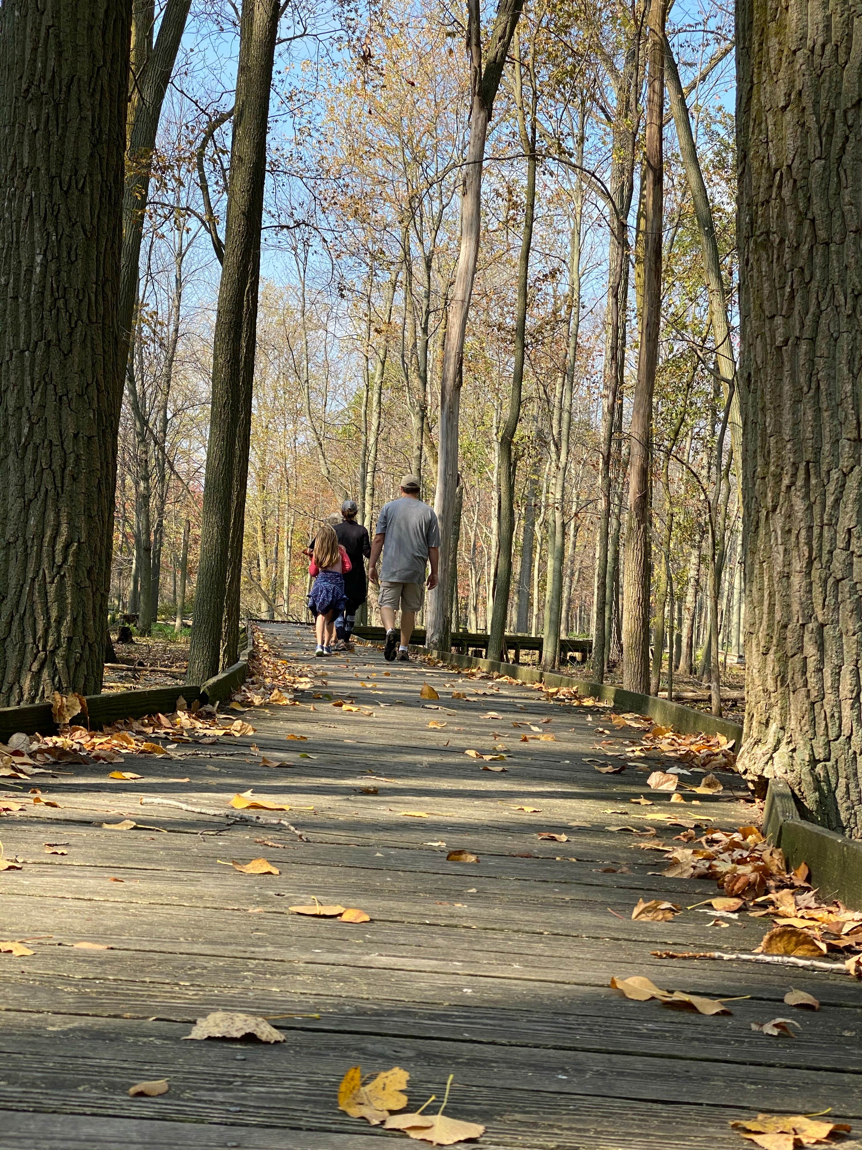 Camper submitted image from Maumee Bay State Park Campground - 1