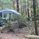 Review photo of Hidden Springs Campground — Humboldt Redwoods State Park by Adam C., September 27, 2020