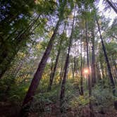 Review photo of Hidden Springs Campground — Humboldt Redwoods State Park by Adam C., September 27, 2020