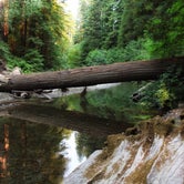 Review photo of Hidden Springs Campground — Humboldt Redwoods State Park by Adam C., September 27, 2020