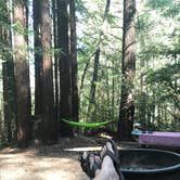 Review photo of Hidden Springs Campground — Humboldt Redwoods State Park by Adam C., September 27, 2020