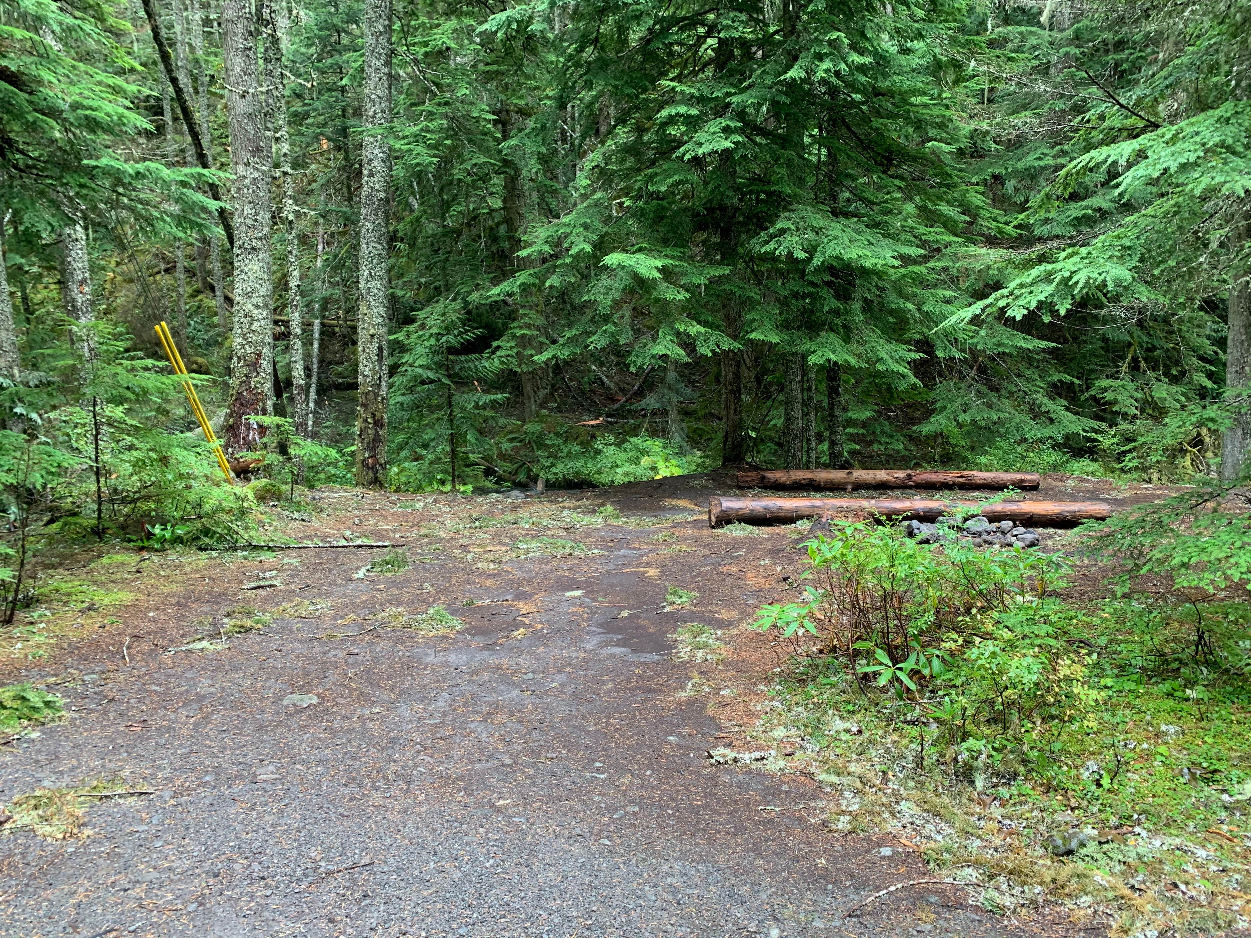 Camper-submitted photo at Kiwanis Road Free Camping near Rhododendron, OR