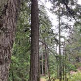 Review photo of Kiwanis Road Free Camping by Jennifer R., September 27, 2020