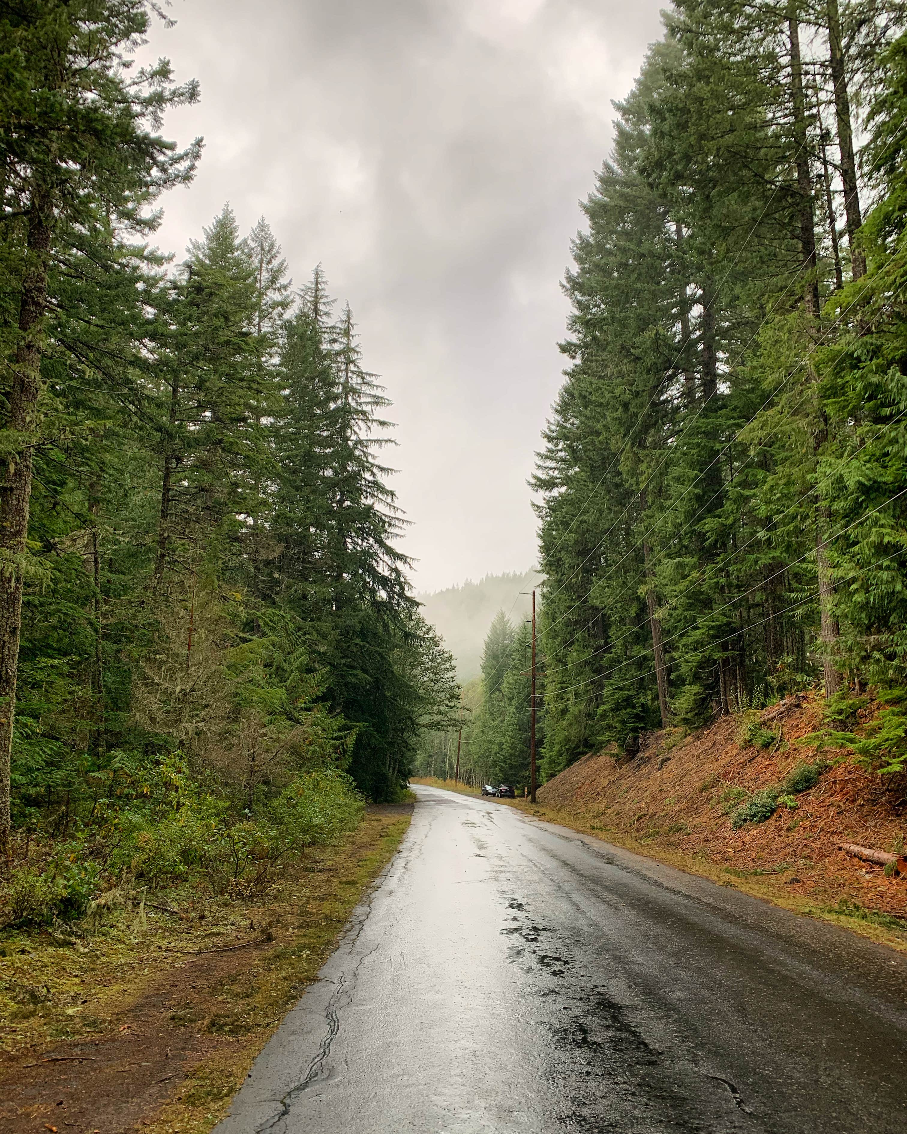 Camper-submitted photo at Kiwanis Road Free Camping near Rhododendron, OR