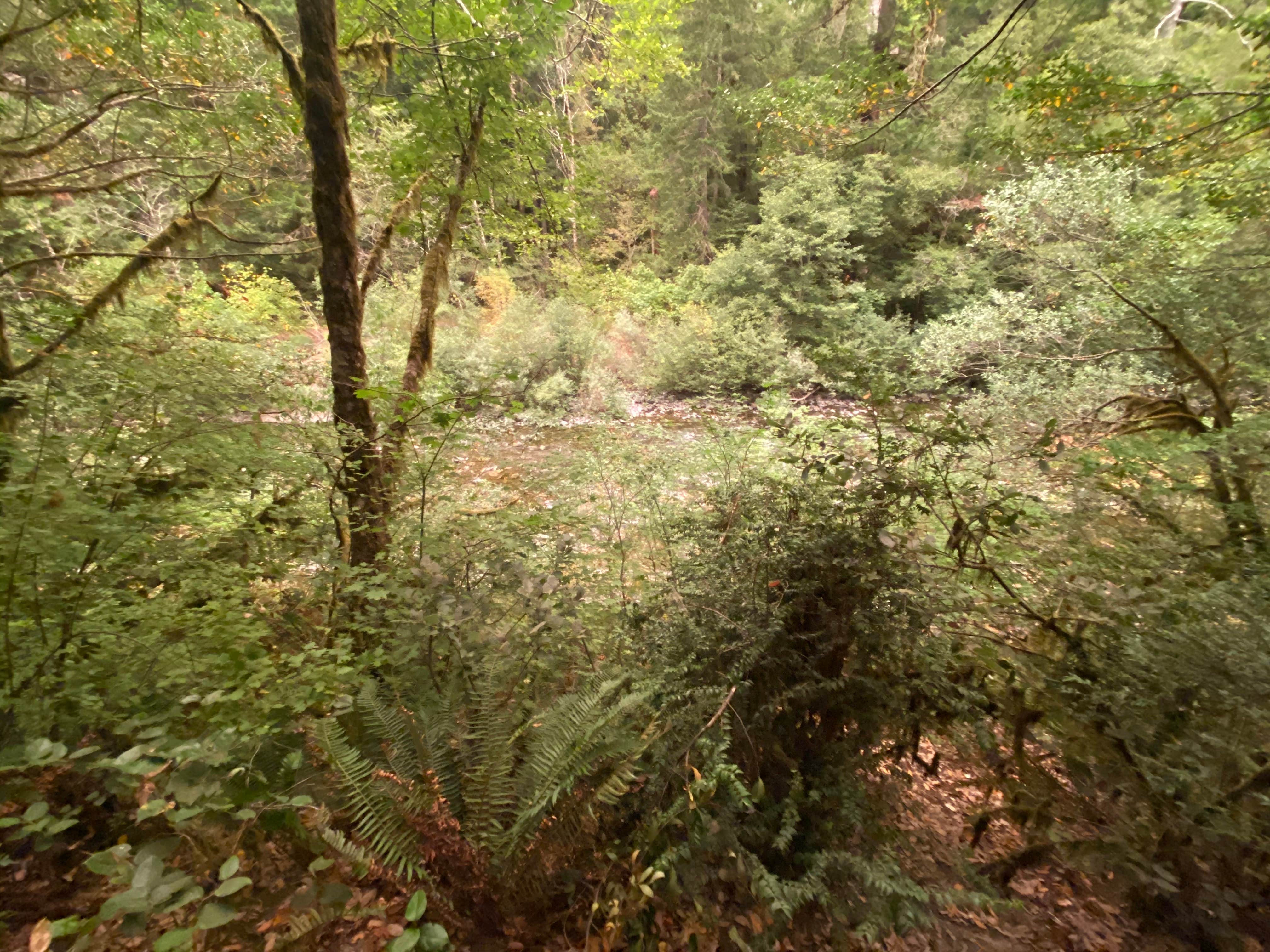 Nature