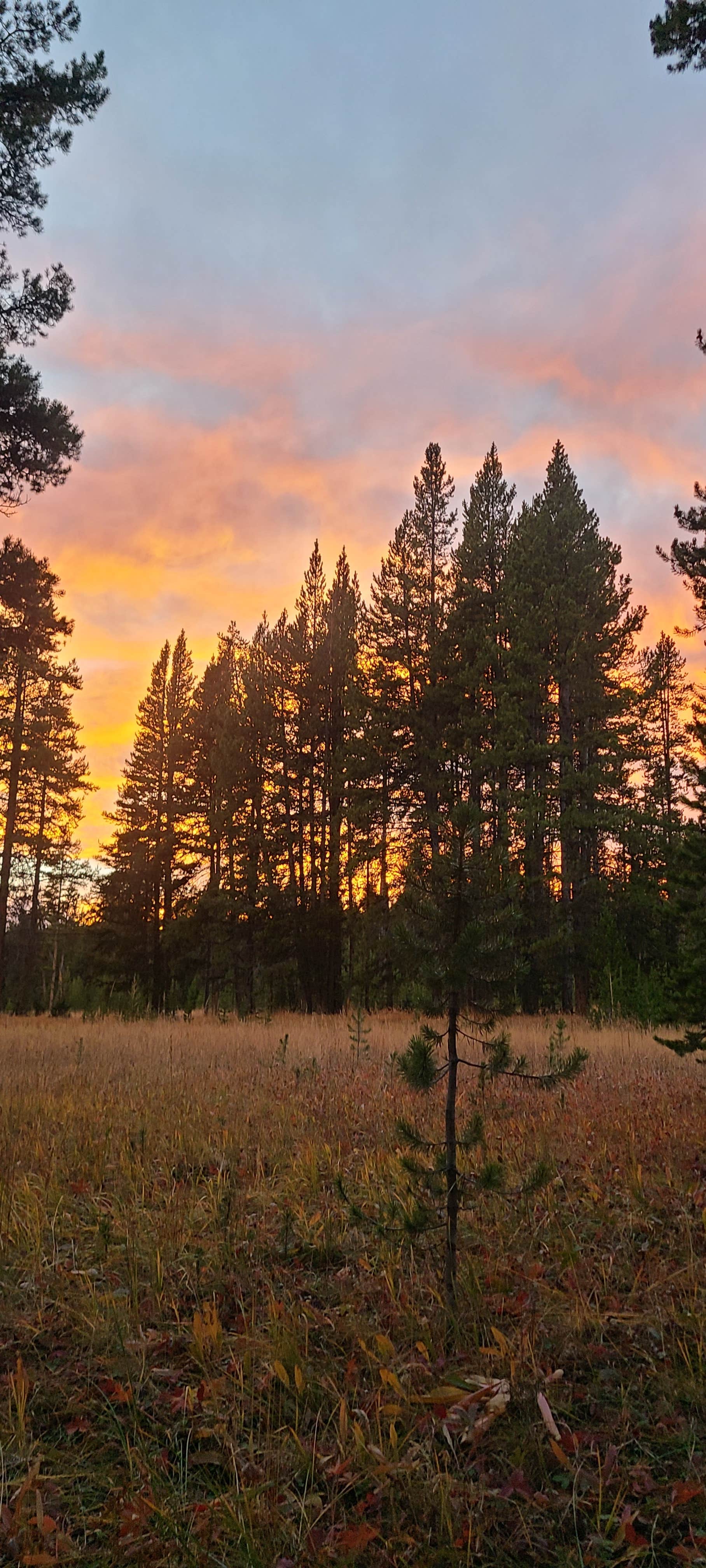 Camper submitted image from 4G2 Yellowstone National Park Backcountry — Yellowstone National Park - 2