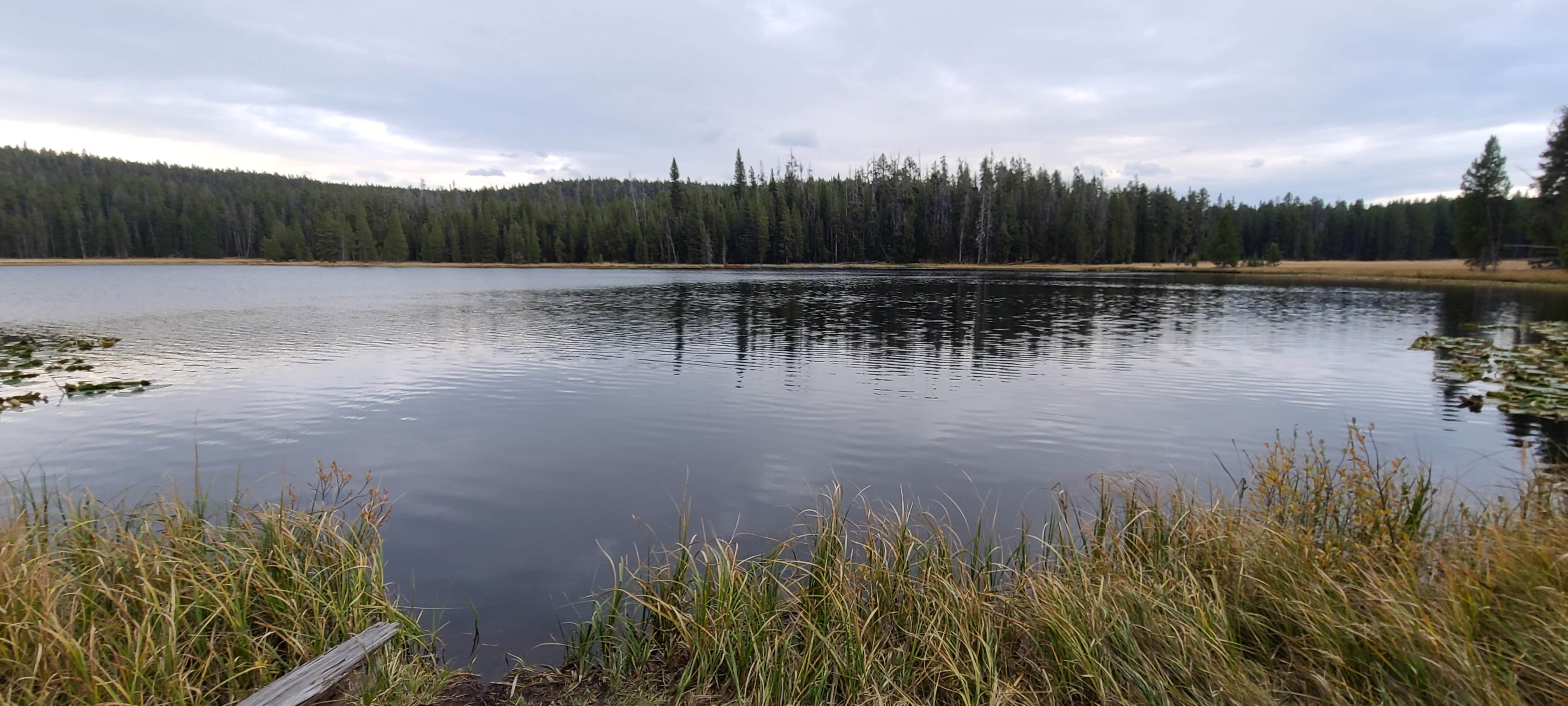 Alice S.'s photo of a dispersed camping area at 4R1 Yellowstone National Park Backcountry — Yellowstone National Park near Gardiner, MT