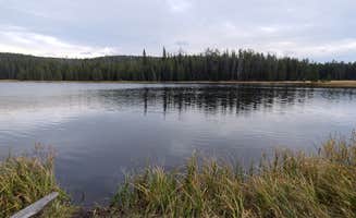 Alice S.'s photo of a dispersed camping area at 4R1 Yellowstone National Park Backcountry — Yellowstone National Park in Wyoming
