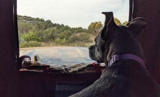 Gillian C.'s photo of camping with pets at West Sedona Designated Dispersed Camping near Cottonwood, AZ