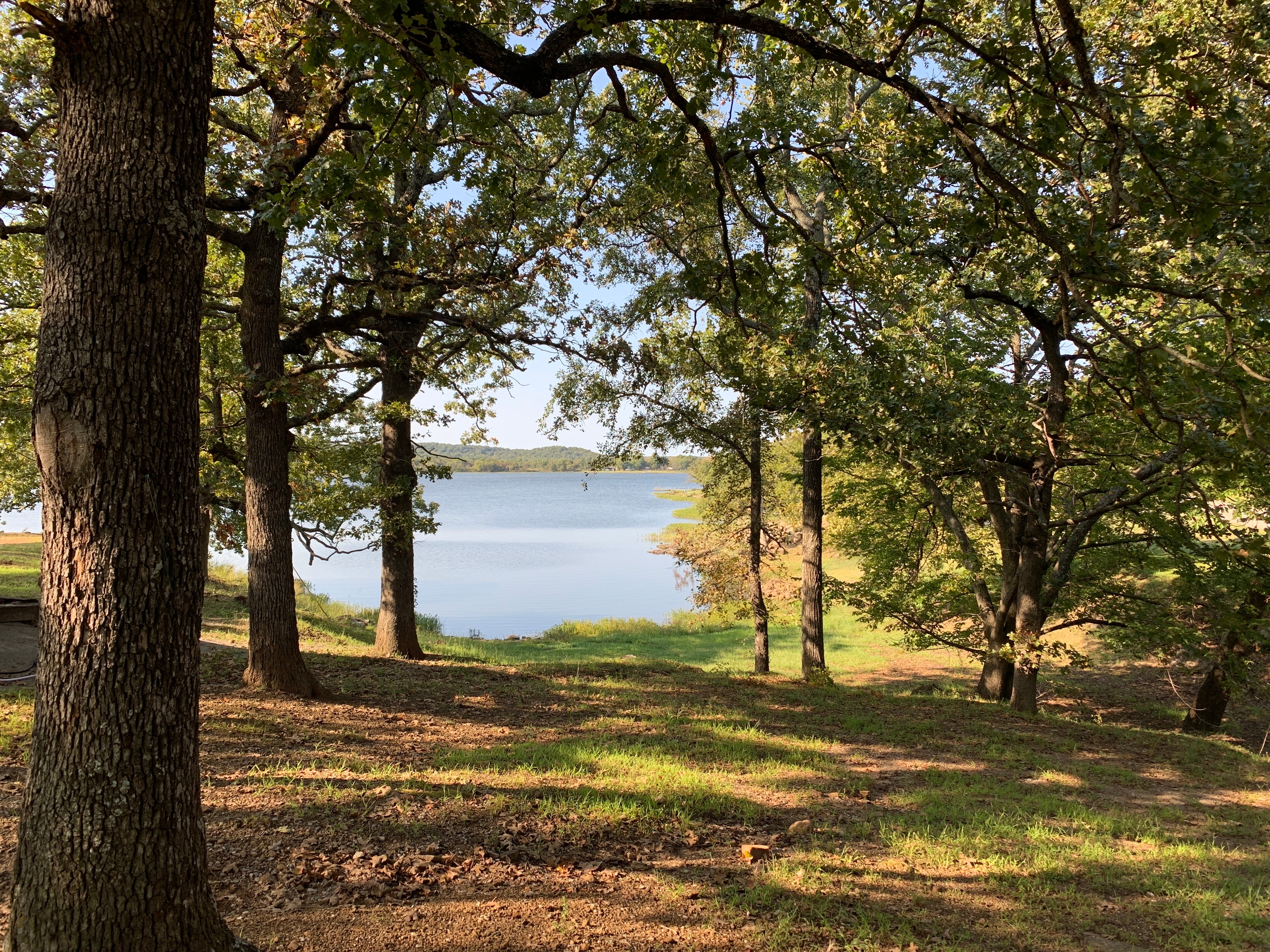 Camper submitted image from Okemah Lake - 4