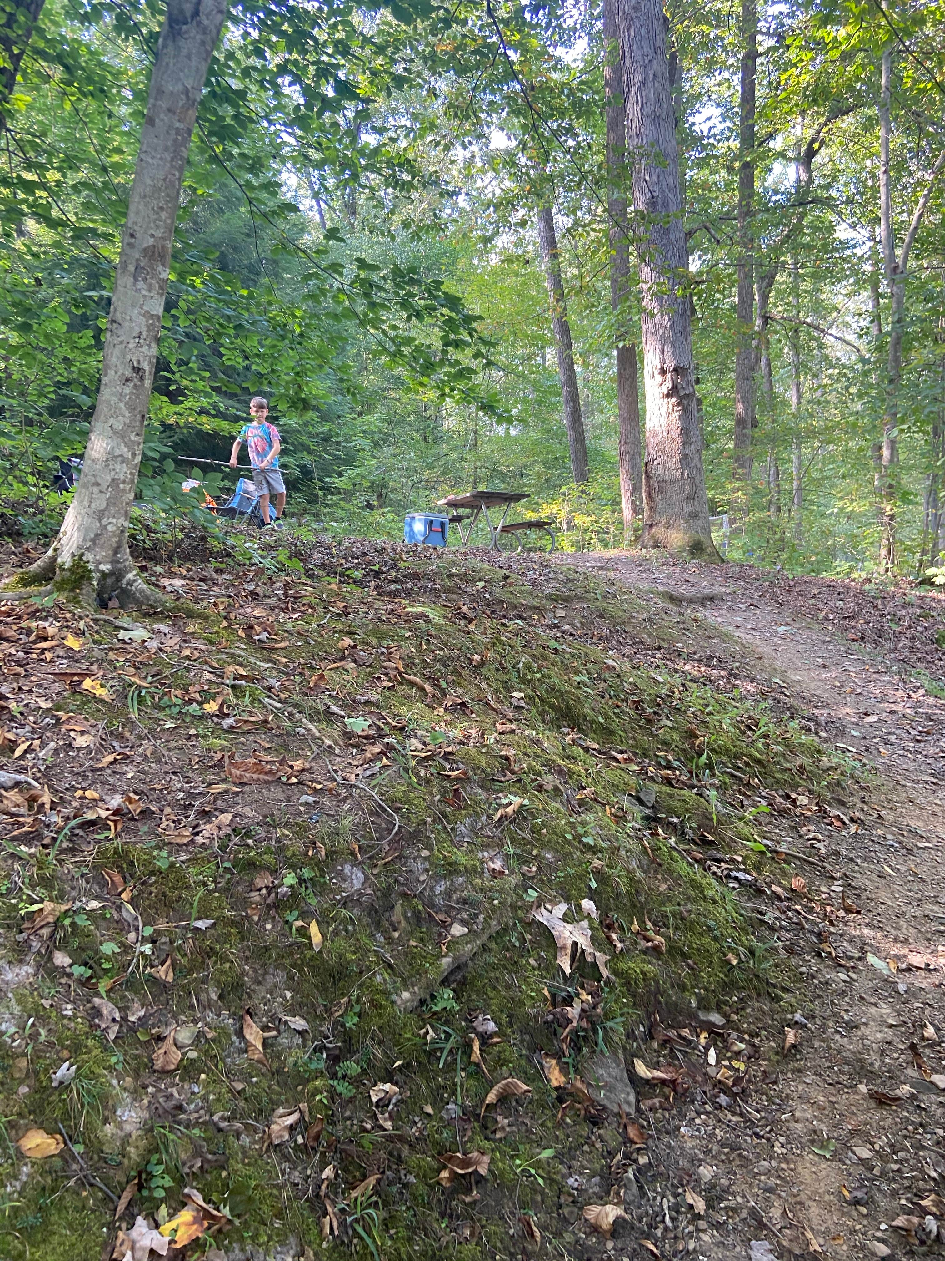 Camper submitted image from Ohio River Campground and Marina — Shawnee State Park - 2