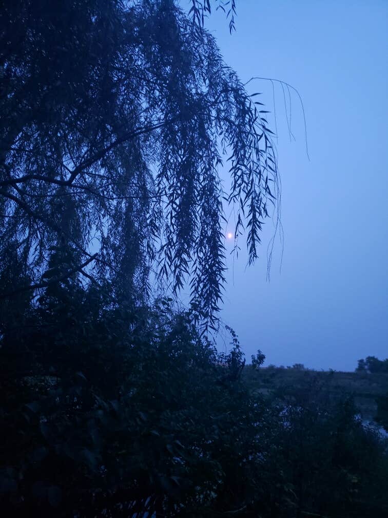 Camping near Pierce Creek Rec Area: Page County Park Pierce Creek Recreation Area, Stanton, Iowa