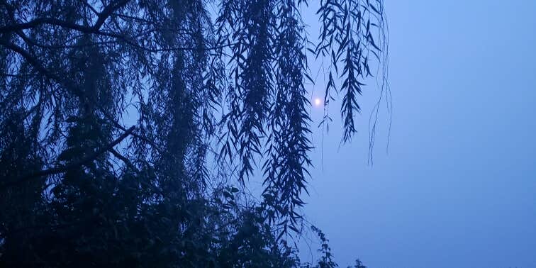 Camper submitted image from Page County Park Pierce Creek Recreation Area