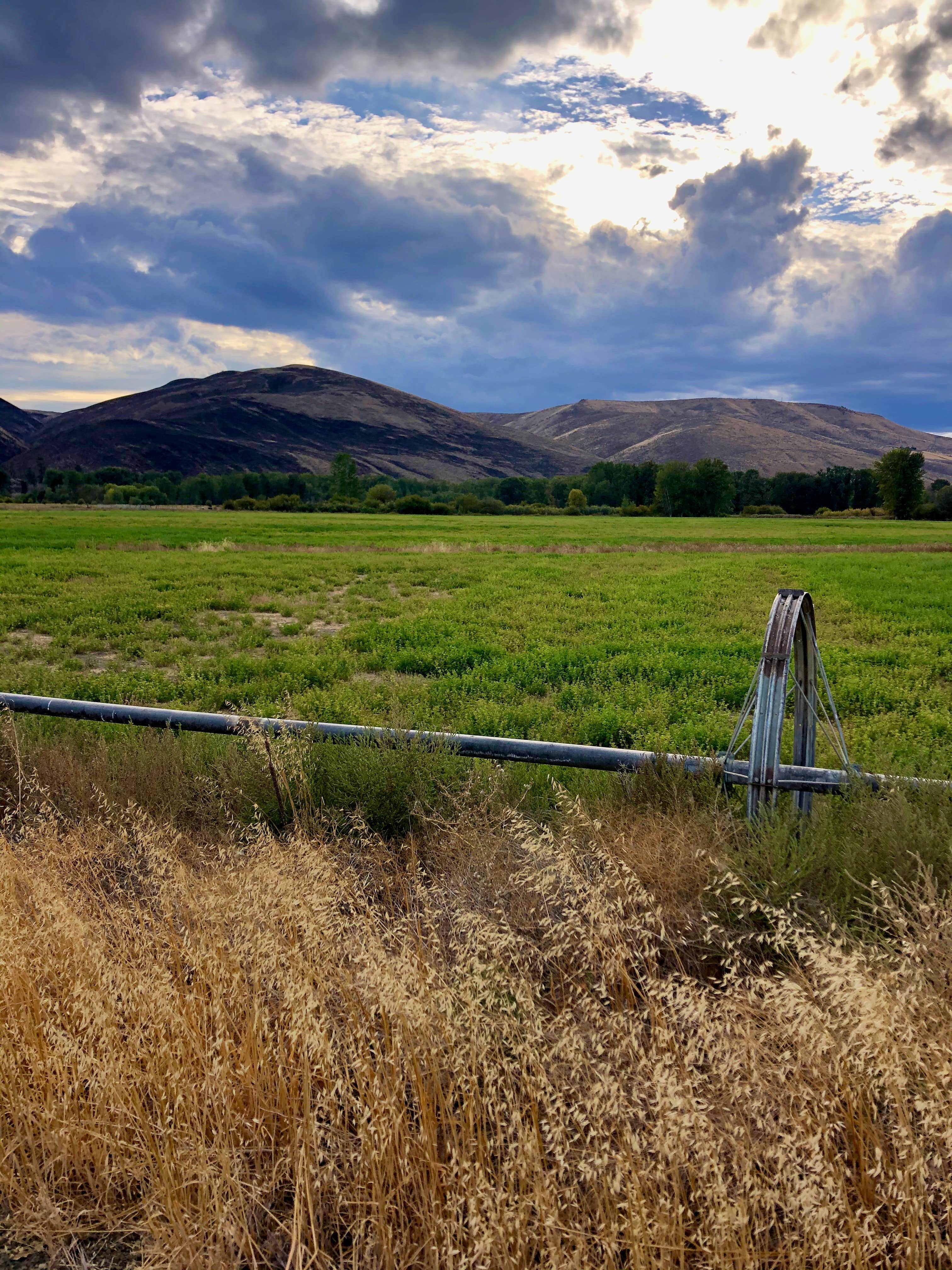 Yakima River RV Park The Dyrt