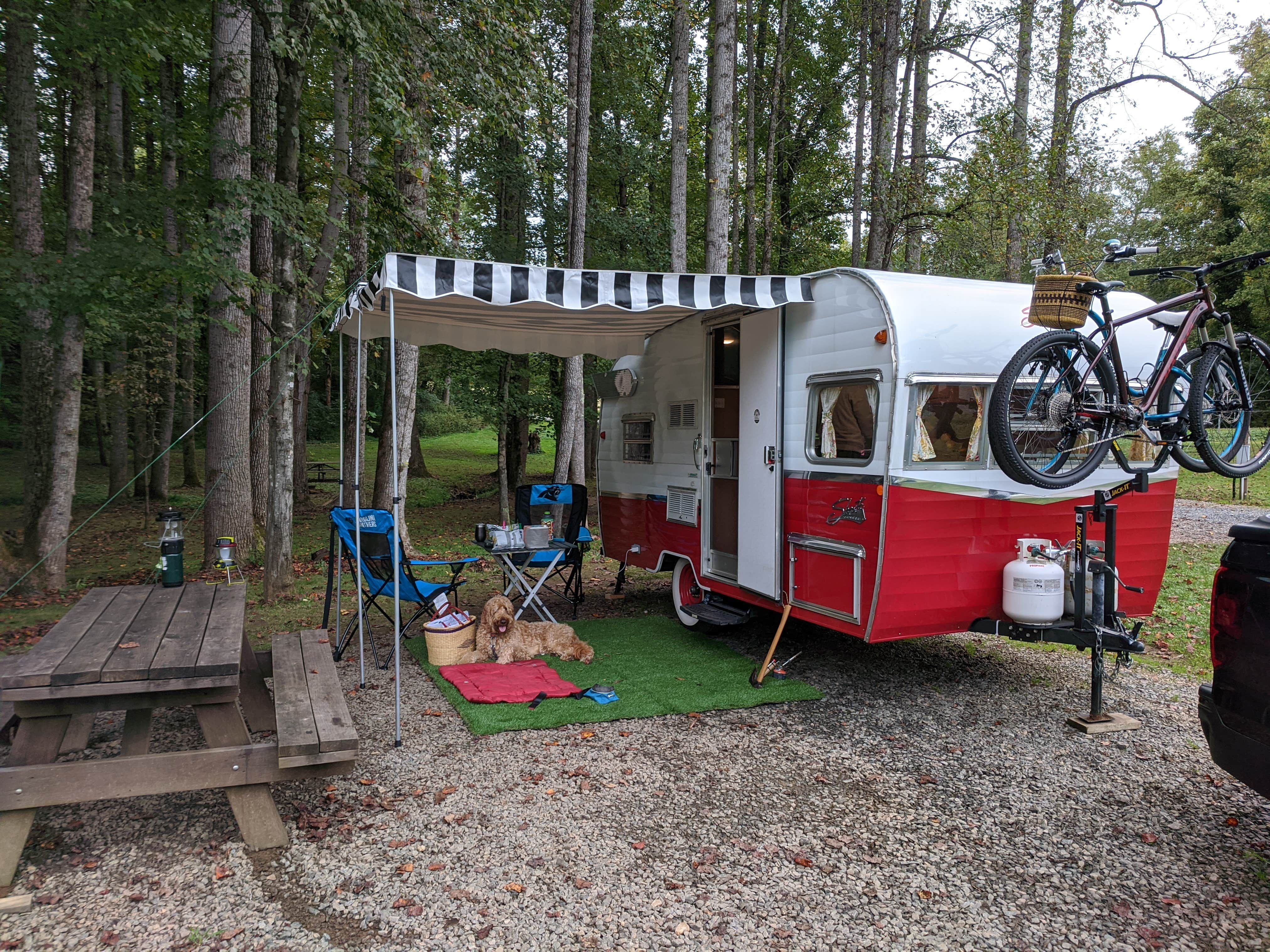 Ron P.'s photo at Byrd's Branch Campground near Traphill, NC