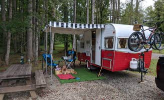 Ron P.'s photo at Byrd's Branch Campground near Traphill, NC