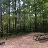 Review photo of Saddle Lake Recreation Area by Dani C., September 27, 2020